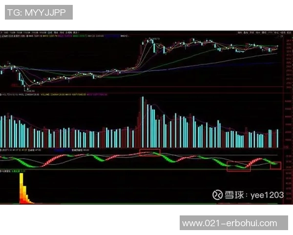 广州篮球队与武汉篮球队赛后状态分析与复盘探讨