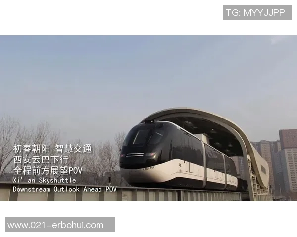 西安网球队实力分析与表现评估：数据透视与未来展望